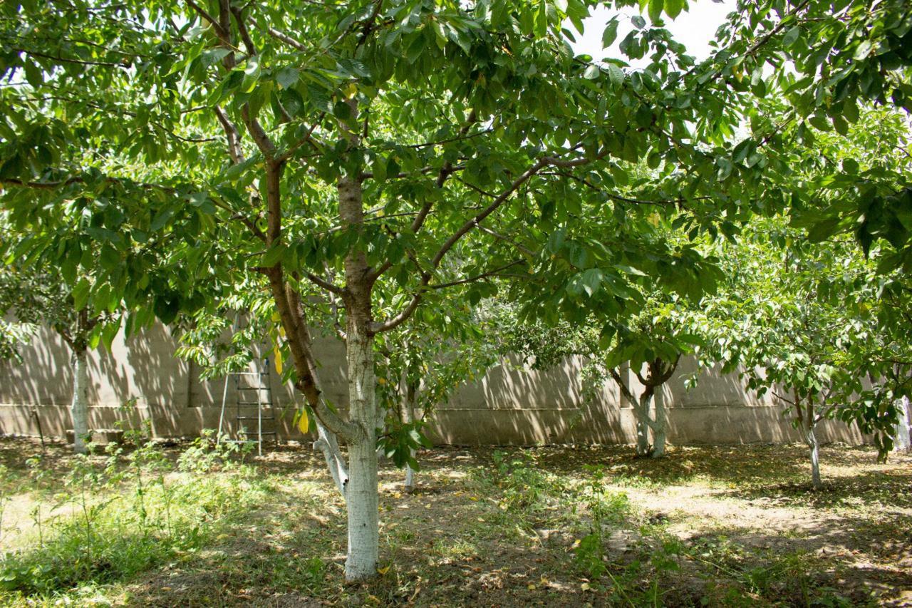 Villa On Fetali Khan Kuba Dış mekan fotoğraf